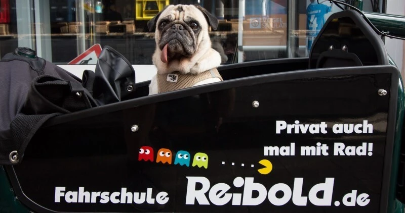 Fahrschule Reibold Team